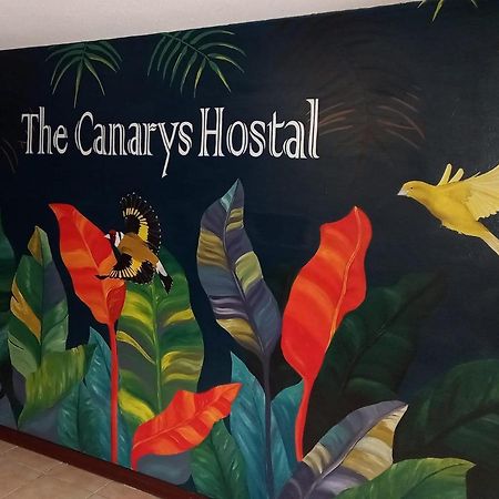 The Canarys Hostal Santa Rosa de Cabal Ngoại thất bức ảnh