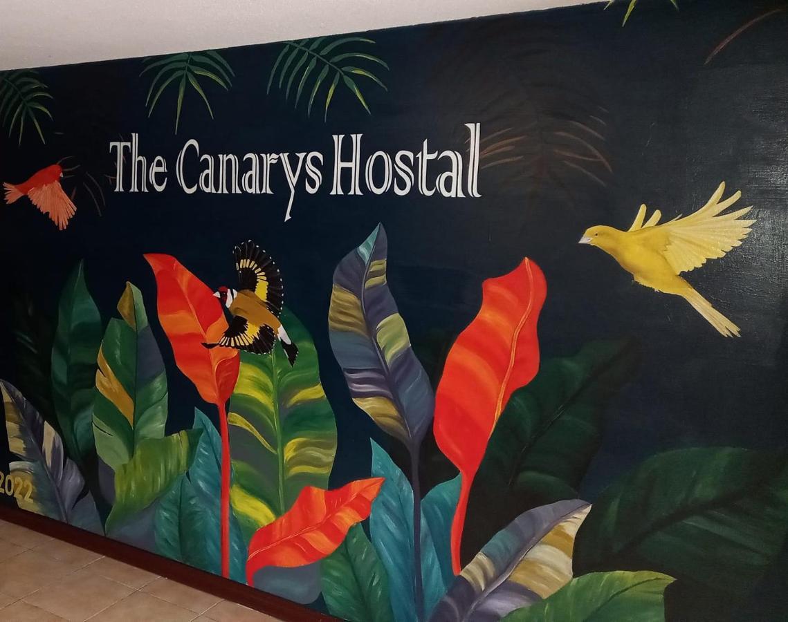 The Canarys Hostal Santa Rosa de Cabal Ngoại thất bức ảnh